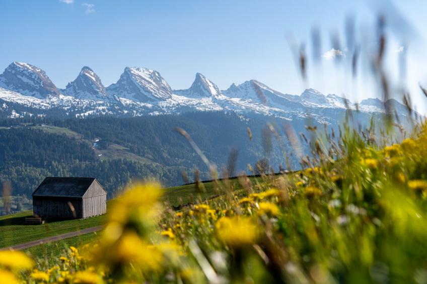 As Träumli - foto 14