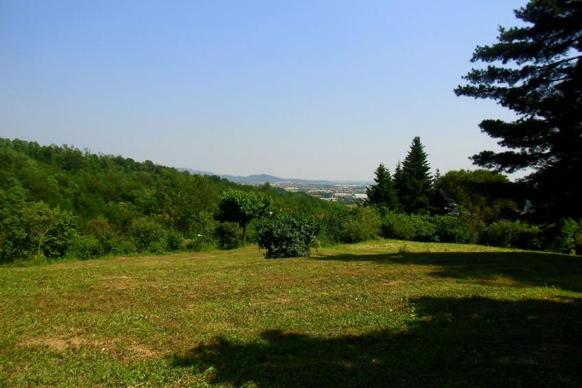 TaiObe - Fröhliches Partyhaus - foto 12