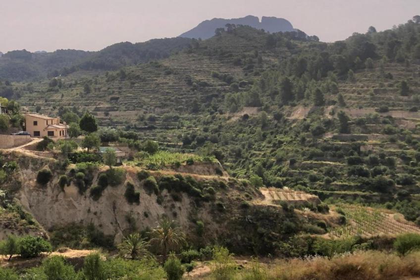 Casa Mediterranea - foto 31