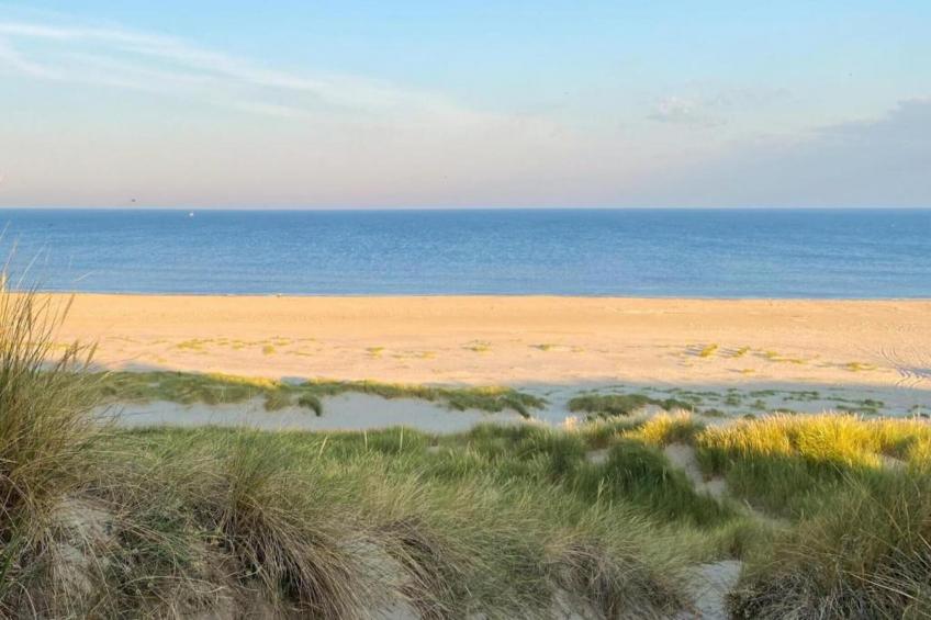 De Strandvogel - foto 29