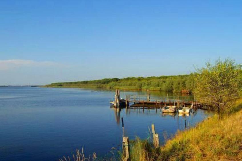 Chalet, Terrasse mit Kamin, privater Garten - foto 6