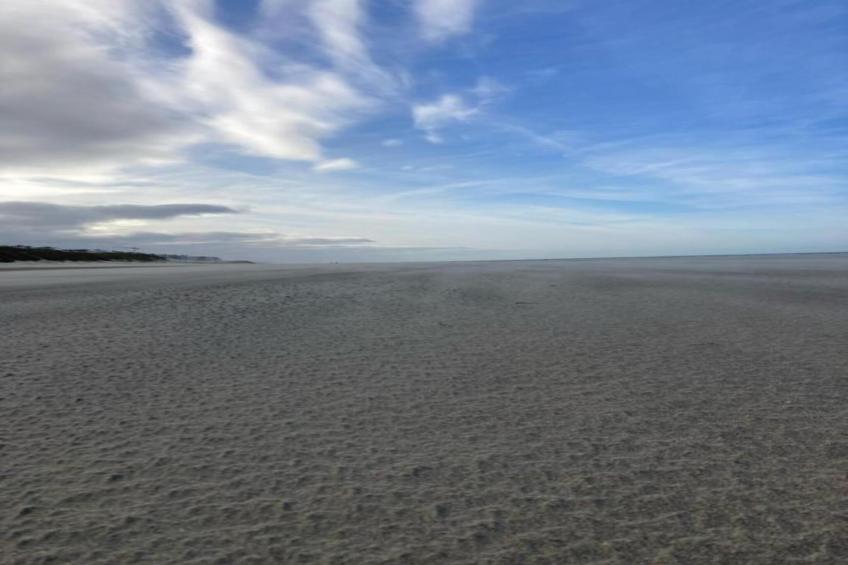 Dynastie - 0203 - foto 29