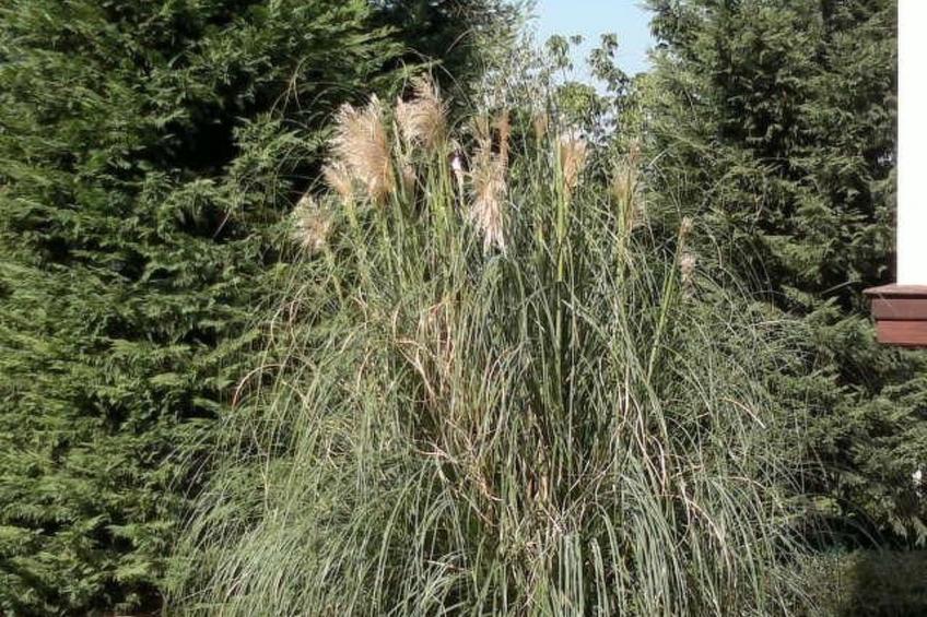 Wohnung mit Infinity-Pool - foto 34