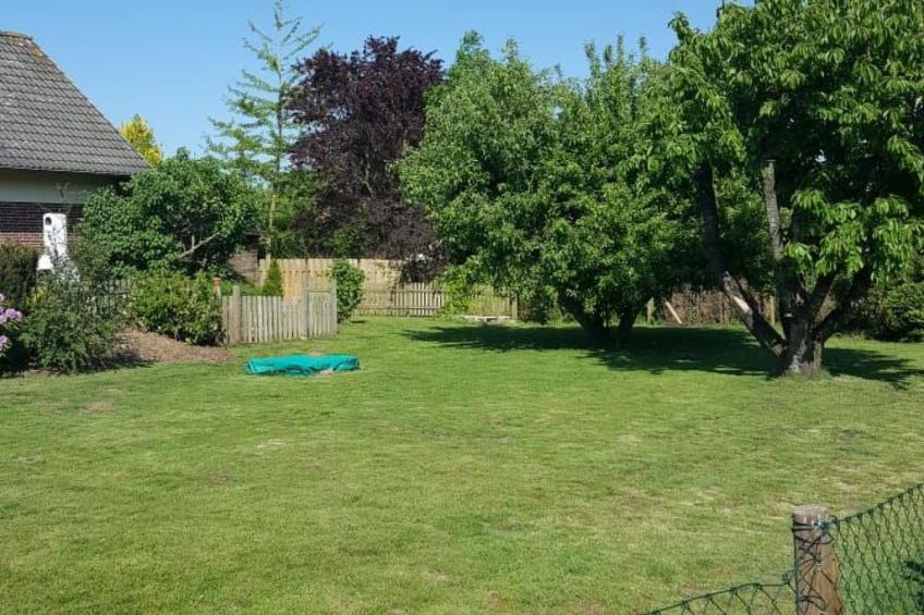 Jadeglück - foto 10