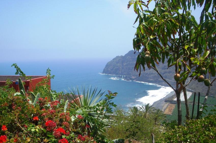 Freistehendes Ferienhaus La Maleza in La Palmita - foto 45