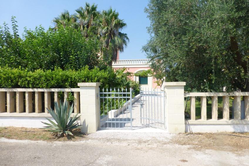 Sirgole Rosa - foto 38