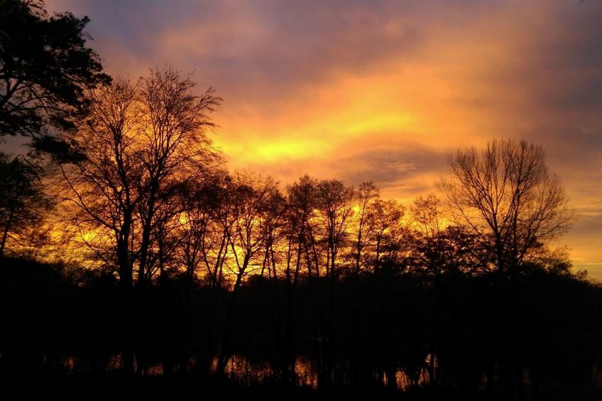 in Süd-Waldhanglage mit Seeblick - foto 11