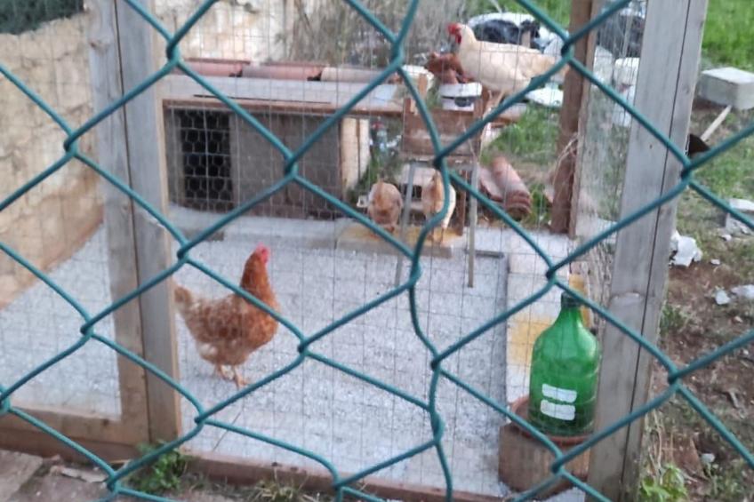 Villa Barone Landhaus mit Pool - foto 41