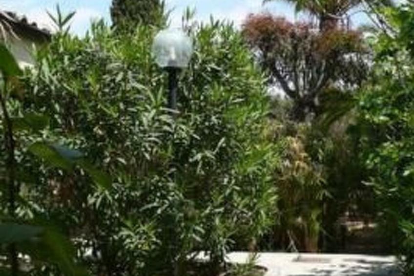 Schöner zentraler Bungalow direkt am Sandstrand auf Sizilien - foto 27