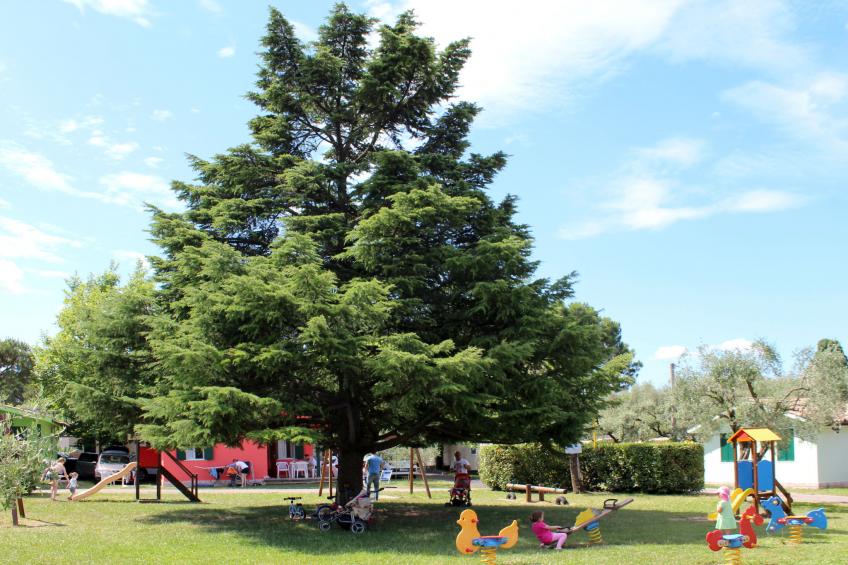 Camping Cisano & San Vito (BDL502) - foto 33