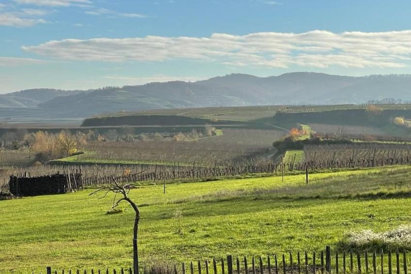 Max Mountain View - foto 17