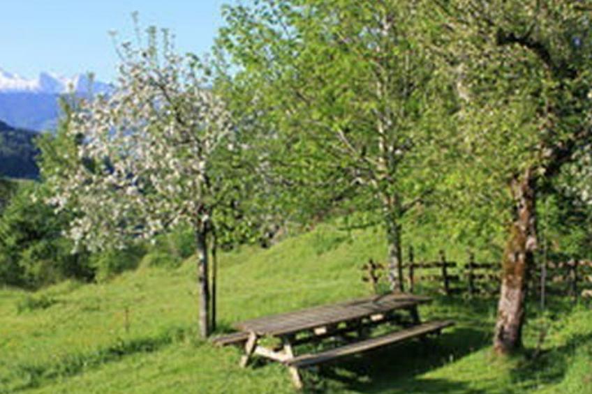 Obere Laui - foto 36