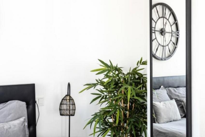 Beach And Dunes Studio - foto 18