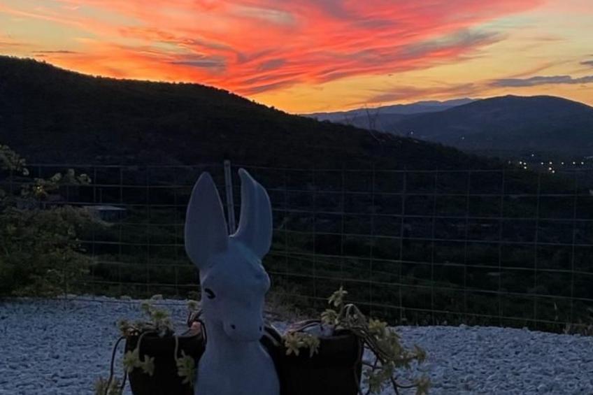 Anwesen "Poljicko imanje" mit eigenem Pool - foto 12