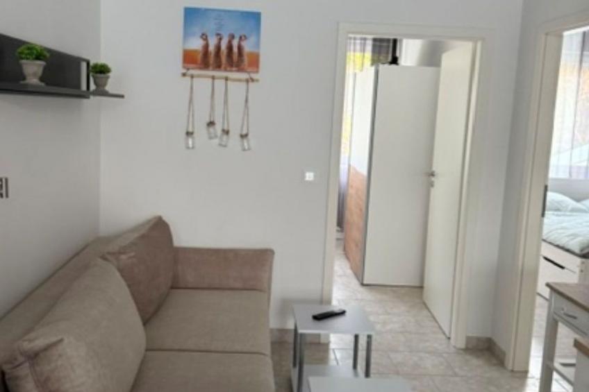 Panorama 180° - foto 14