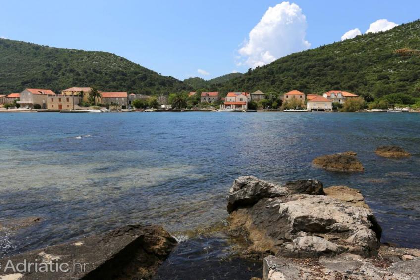 Four bedroom apartment - foto 26