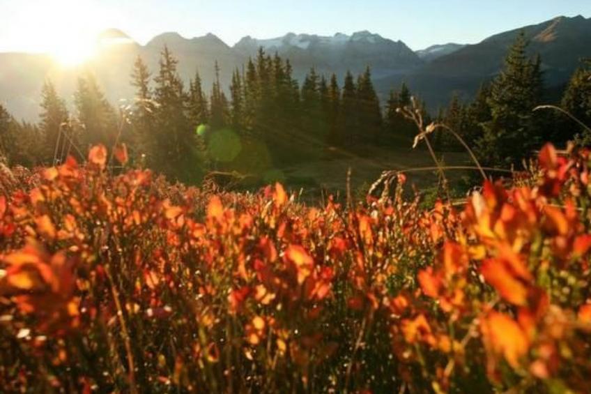 Fewo mit Blick auf die Berge - foto 21
