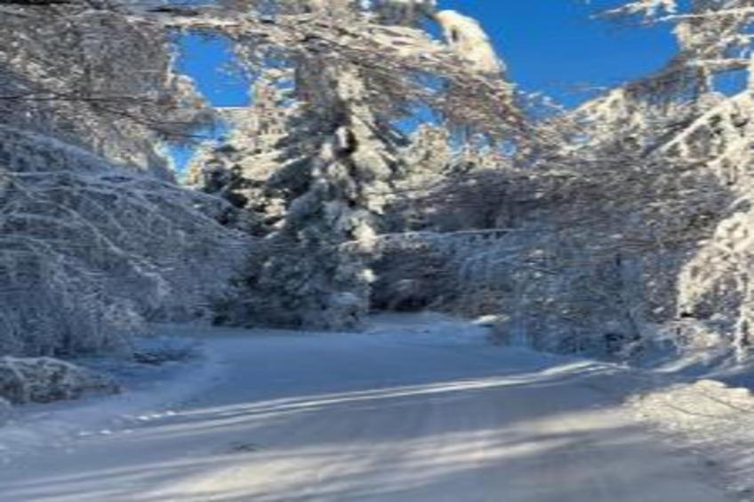 Ferienwohnung Christina - foto 17