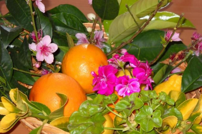 Wohnung 'Ilaria - foto 26