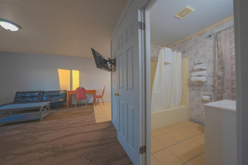 1 Bedroom Suite - foto 22