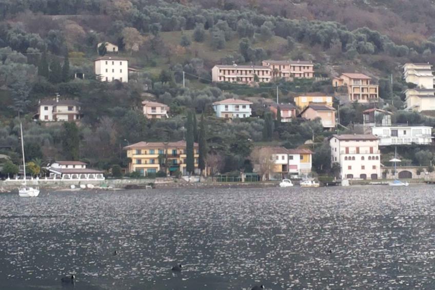 Vakantiewoning met balkon - BF-FWTJ - foto 3