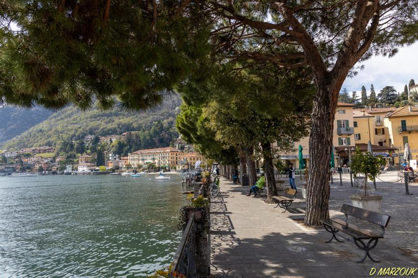 Le Petit Palais Villa - foto 36