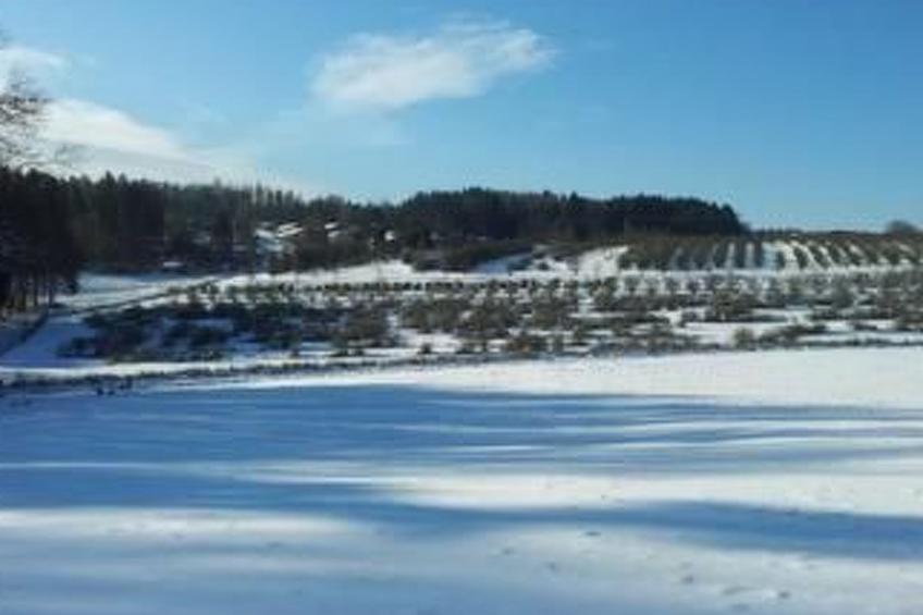 Miltenberg - foto 22