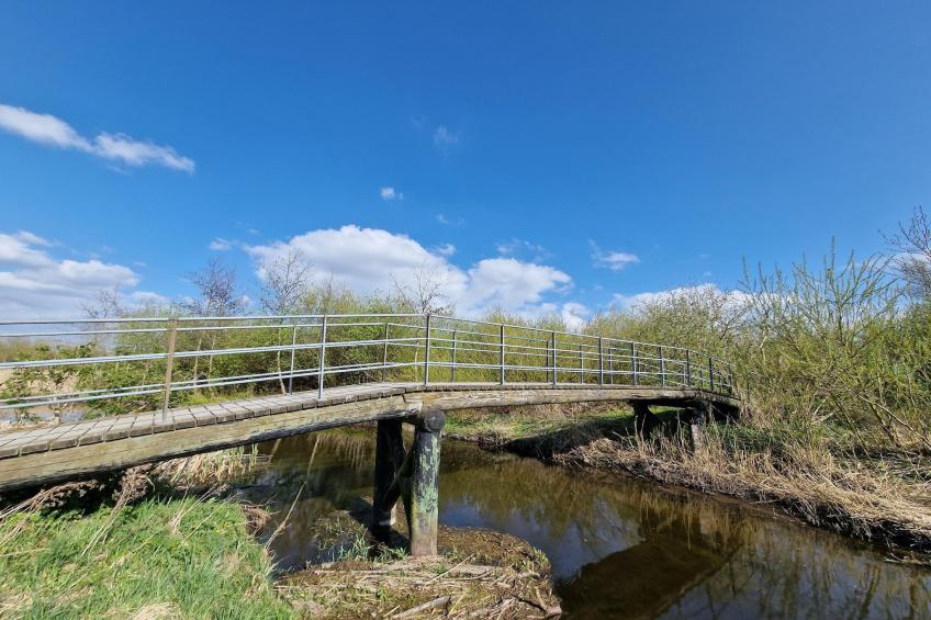 Jomfru Ane Standard Double - foto 35