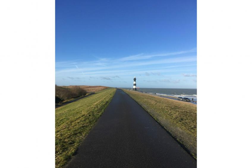 De Biezenpolder - foto 48