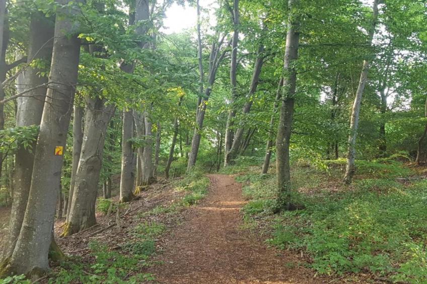 Im Altmühltal - foto 33