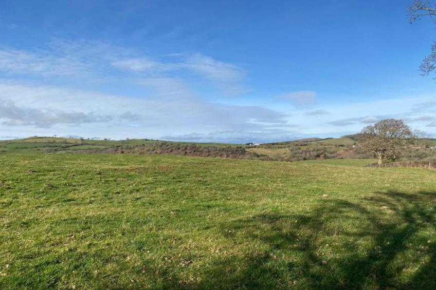 Netley Hall - Lavender - foto 32