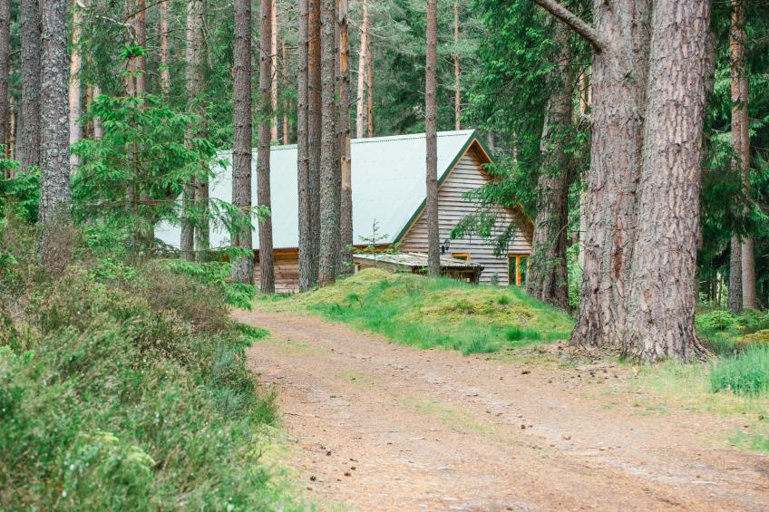 Capercaillie Cabin - foto 25