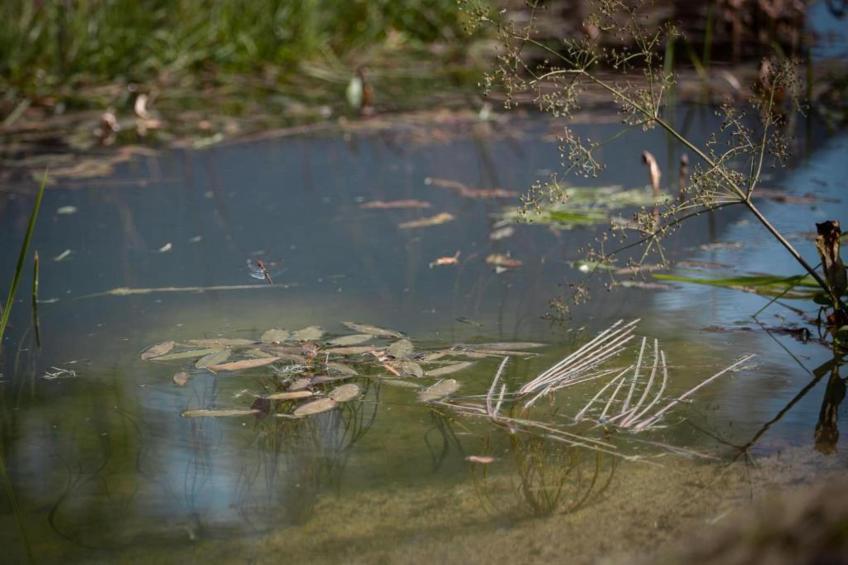 Chantemerle - foto 35