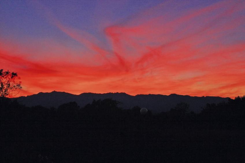 Résidence Marina Corsa in Ghisonaccia - Type B - foto 28