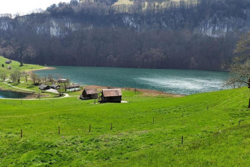 Villa Seelisberg mit Jacuzzi und Panoramablick - foto 41