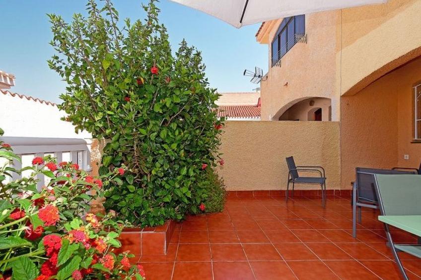 Violeta 17 - foto 44