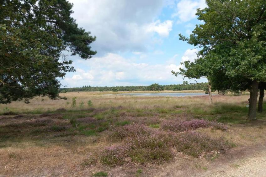 Park De Peel 5 - foto 25