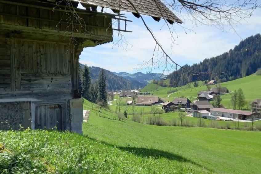 Antikes Ferienhaus - foto 3