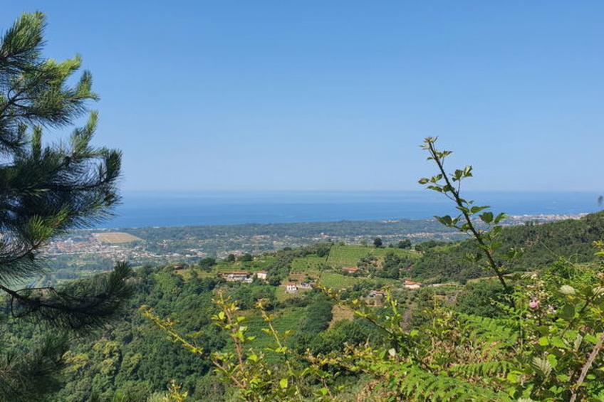 La Casa Sul Forte - foto 81