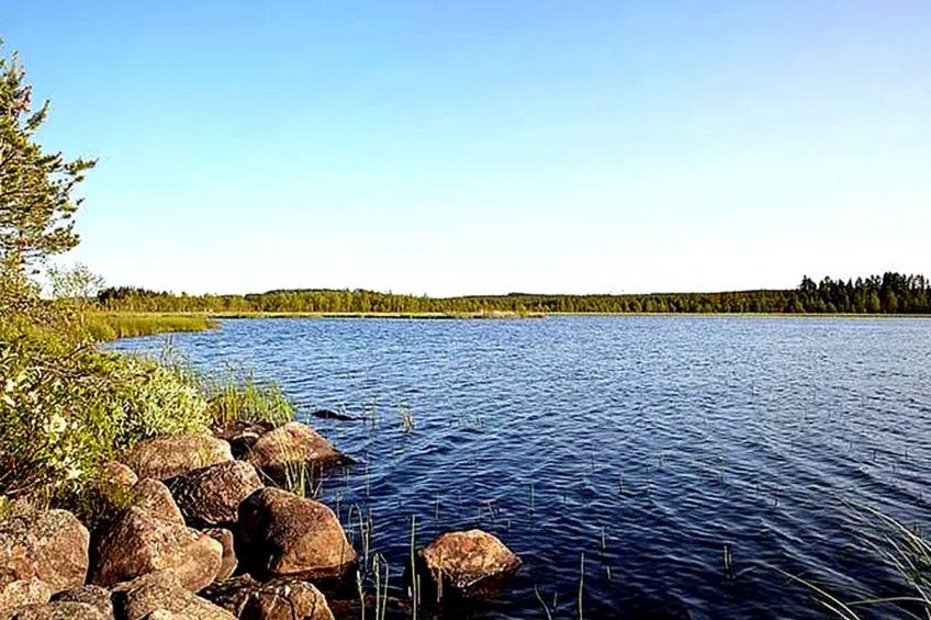 am Wald mit Kaminofen und Veranda - foto 9