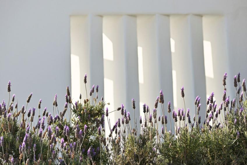 Villa Serene zu Fuß zu 4 Stränden - foto 71