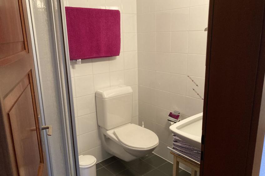Chalet Leiggener Appartement/Fewo, Dusche Leiggener EG - foto 15