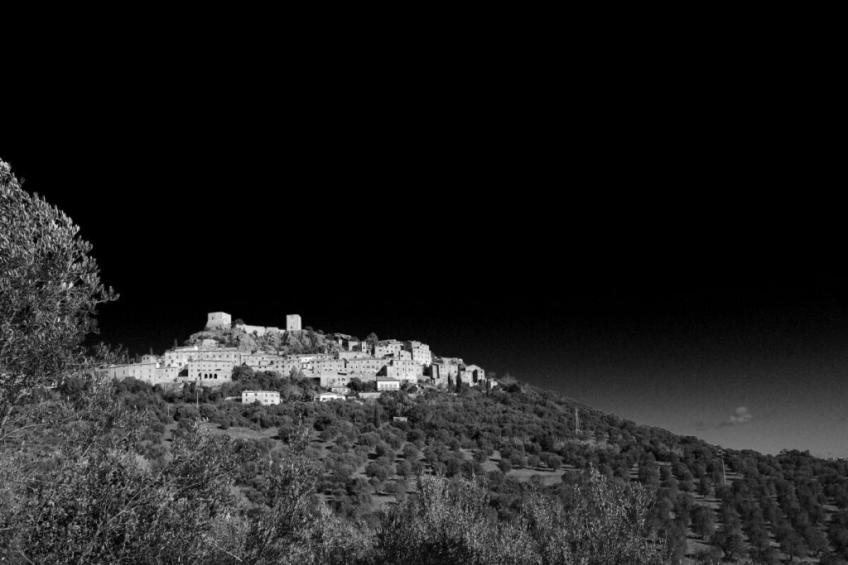 265465 - foto 41