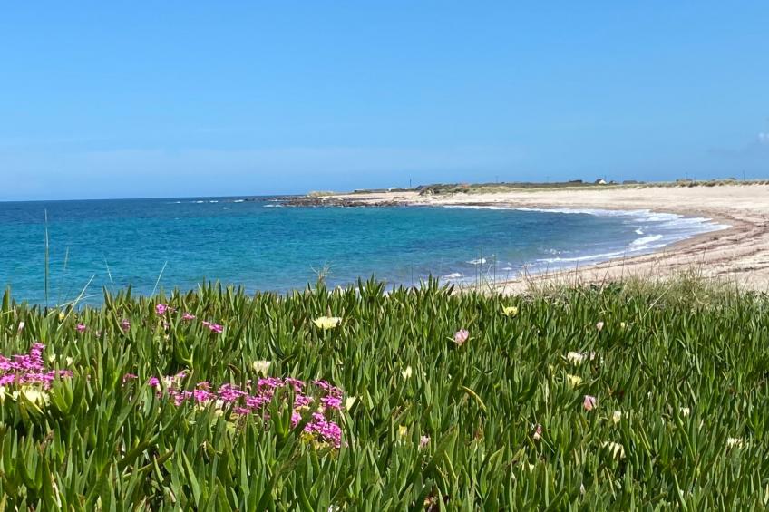 Vakantievilla "Les Prés Salés" (Die gesalzenen Wiesen) - foto 25