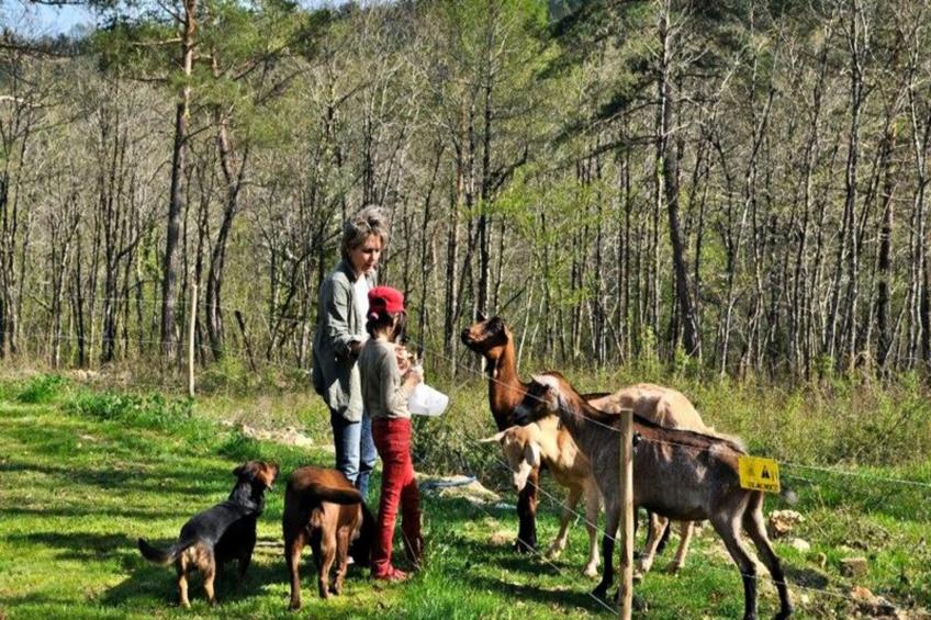 Domaine des Bories - foto 11