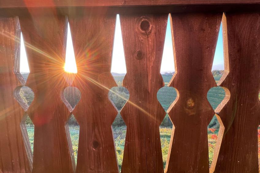 für 8 Personen  + 4 Kinder ca. 200 m² in Ptuj, Untersteiermark (Drau Slowe - foto 32