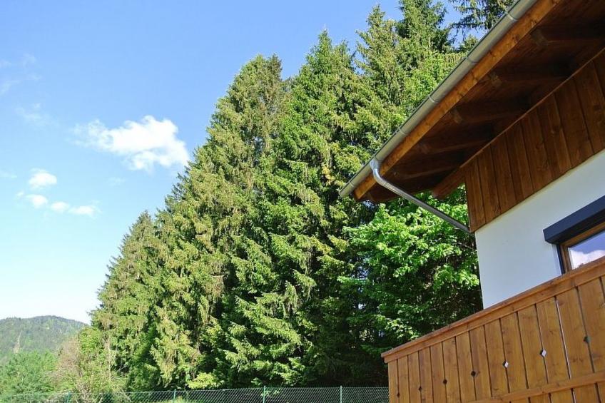 Baumberger - foto 20