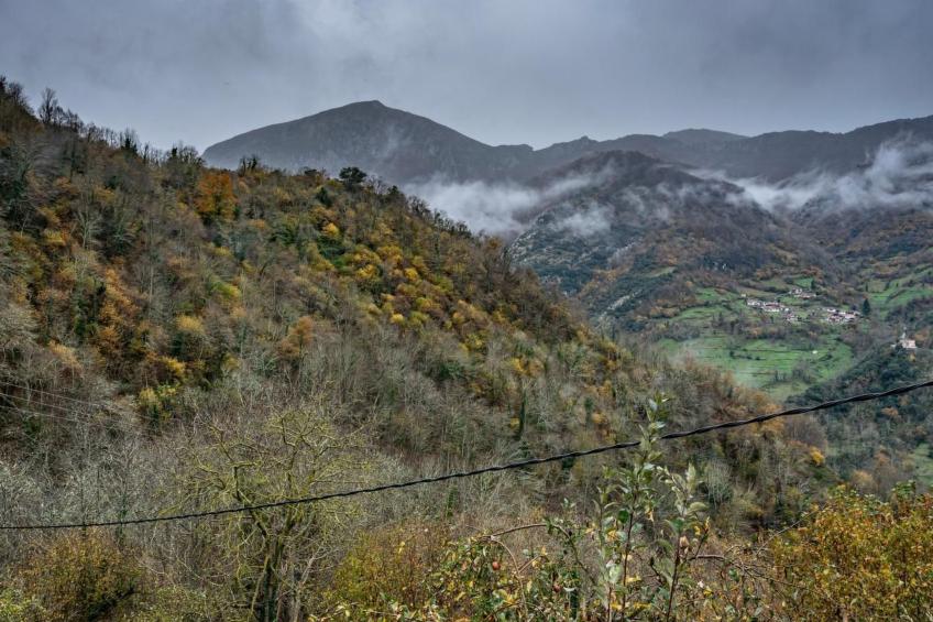 Ländliche Wohnung El Carbayu - foto 46