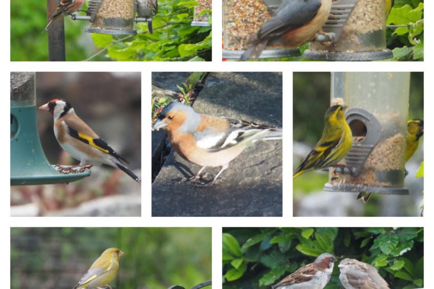 The Duck House - foto 18