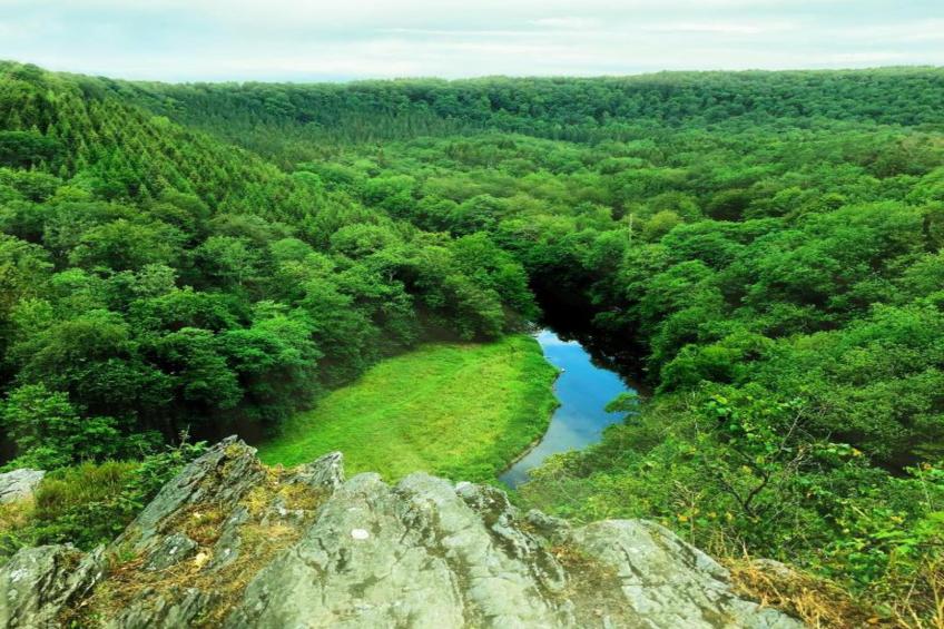 Le Pré en Bulles - foto 27